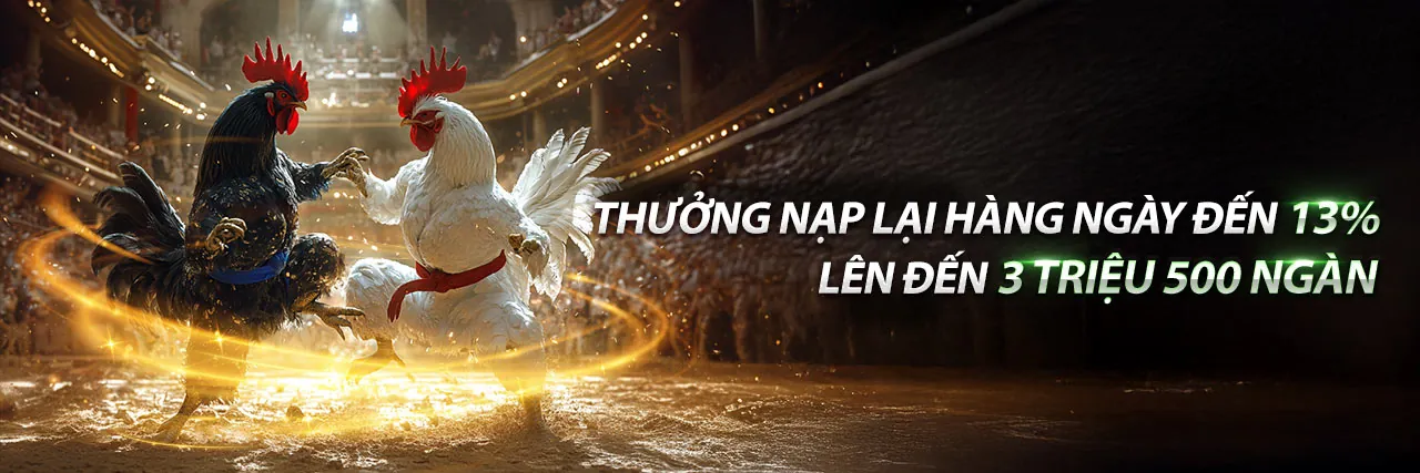Đấu trường đá gà trực tuyến sôi động tại zo88 chính thức